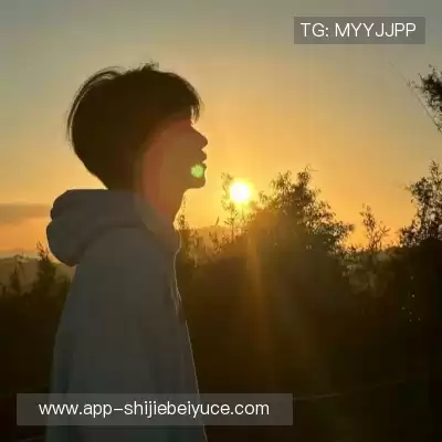 韶诚洁